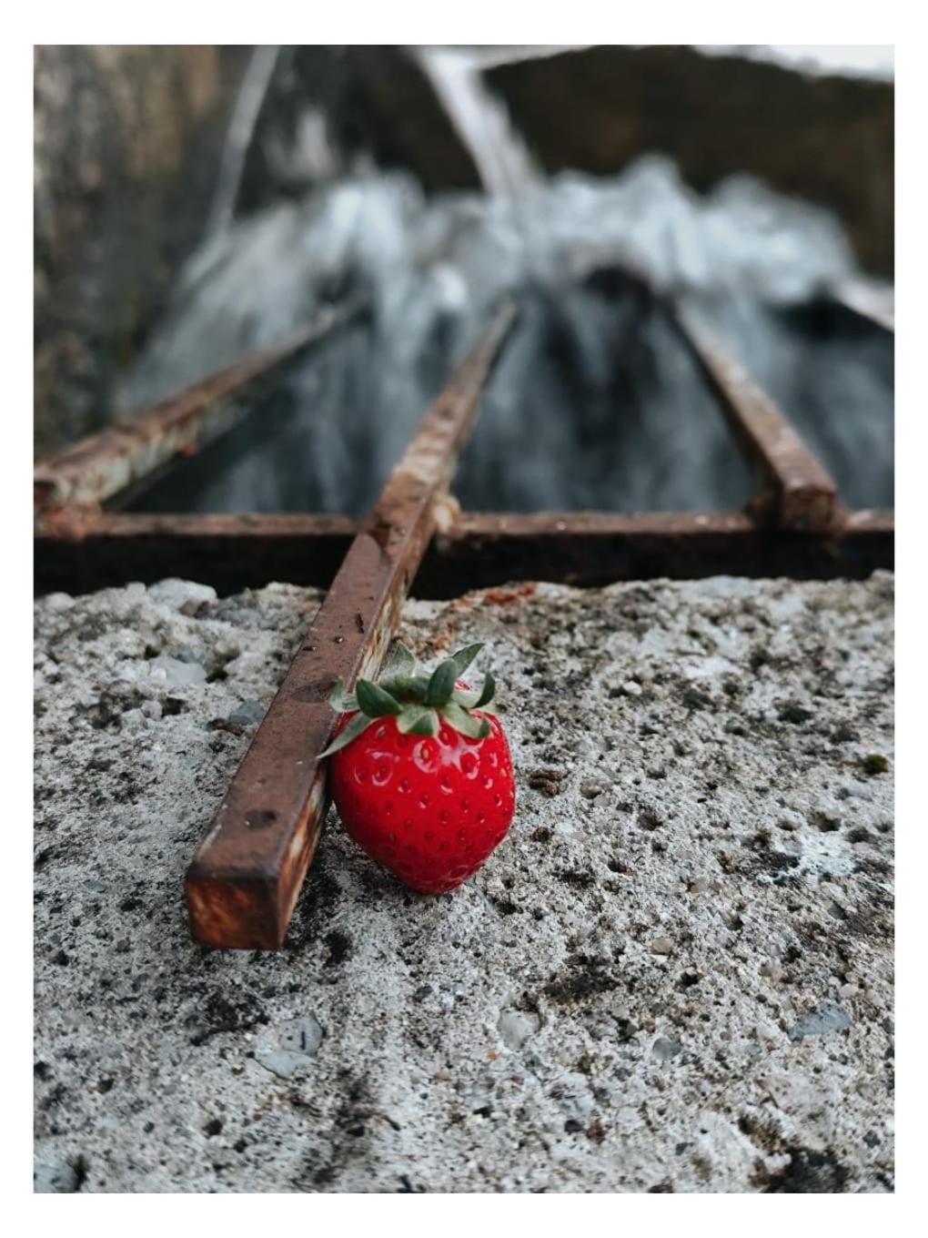 Le Moulin De Mitou Hotel Auriac-du-Périgord Kültér fotó